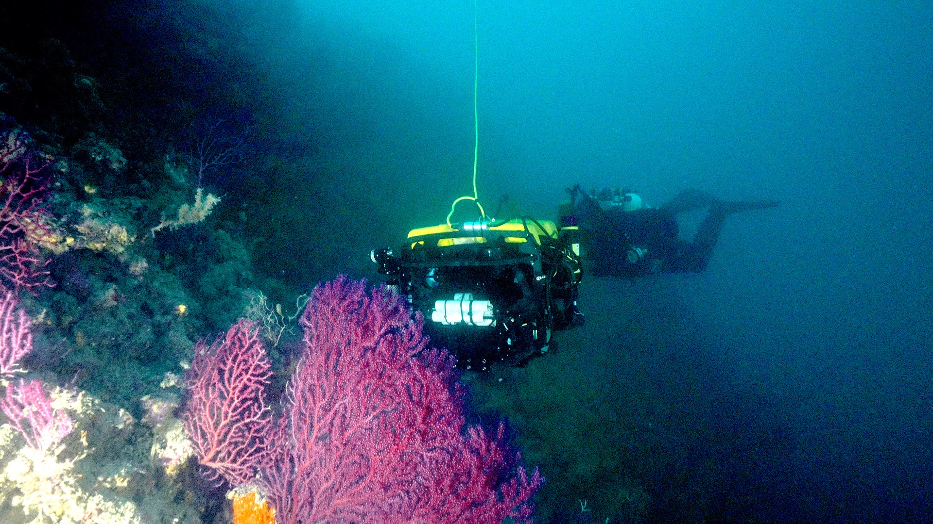 L’ecorobotica marina di Spoke 3 in azione grazie a NEPTUNE™: il racconto della seconda missione nell’Area Marina Protetta di Portofino